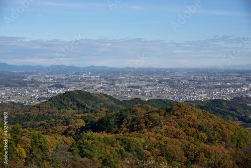 Mount Fuji from Tochigi city © Tonic Ray Sonic