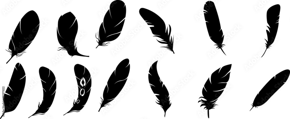 soft bird plumage set. Big set of bird feathers design. fluffy swan. Pen icons design. set of bird feathers design soft bird plumage set. Big set of bird feathers design. fluffy swan. Pen icons design. set of bird feathers design