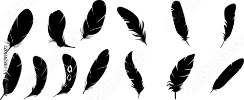 soft bird plumage set. Big set of bird feathers design. fluffy swan. Pen icons design. set of bird feathers design