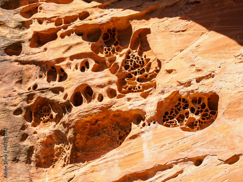 Unusual natural tafoni weathering in sandstone
