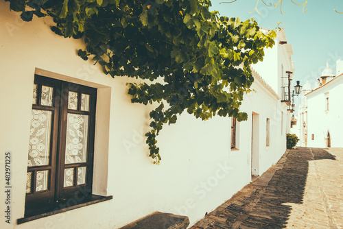 Fototapeta Naklejka Na Ścianę i Meble -  street in the old town of island