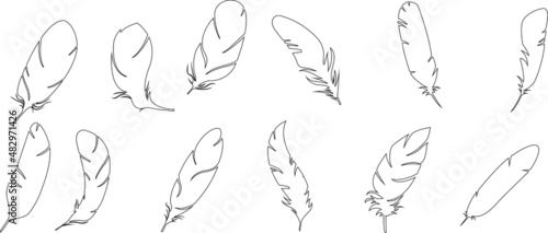 Feathers line set. black feather line set. Falling flying fluffy line swan. bird plumage design. Pen icon vector design
