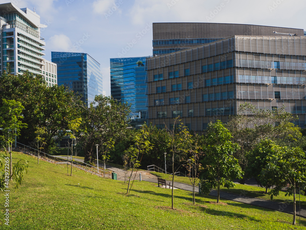Beautiful green city park surrounded by modern office buildings