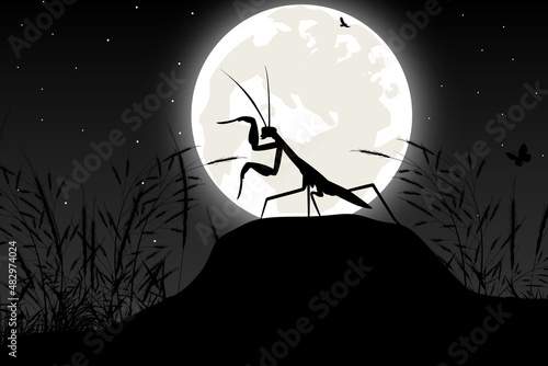cute mantis and moon silhouette graphic