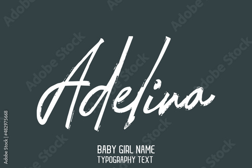 Adelina Baby Girl Name in Stylish Cursive Brush Typography Text on Grey Background photo