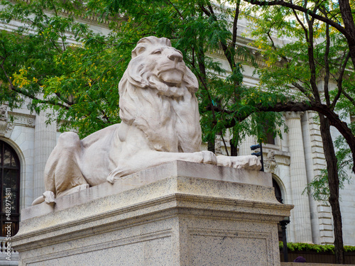 One of the stone lions flanking the entrance to the New York City Public Library