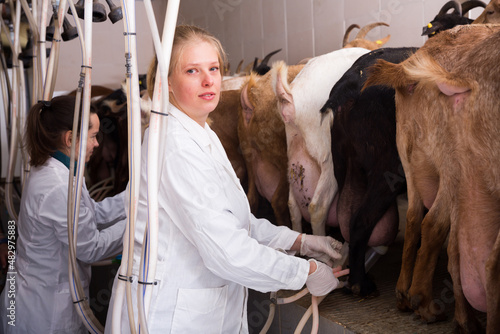 Portrait of professional milkmaids working with goats on farm