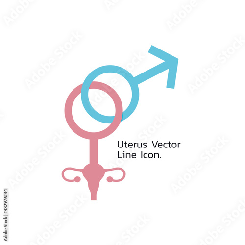 Uterus Vector Line Icon. Female reproductive organ