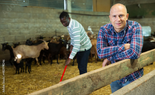 Successful male owner of goats farm posing inside barn with animals