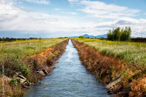 Fototapeta Naklejka Na Ścianę i Meble -  An agricultural landscape of an irrigation canal passing through Northern California rice fields with mountains in the background.
