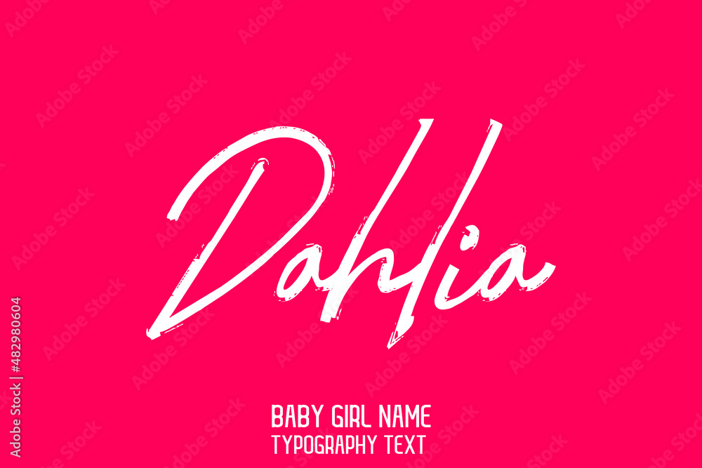 Girl Baby Name Dahlia Stylish Lettering Cursive White Color Brush Calligraphy Text on Pink Background