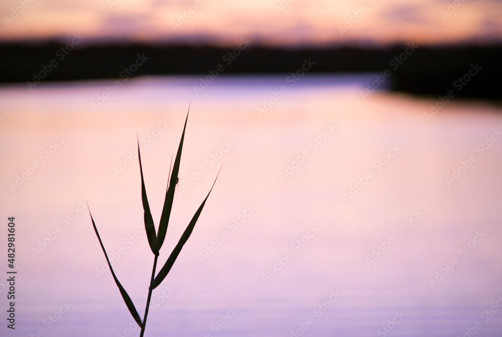 Obraz premium Onkaparinga at sunset