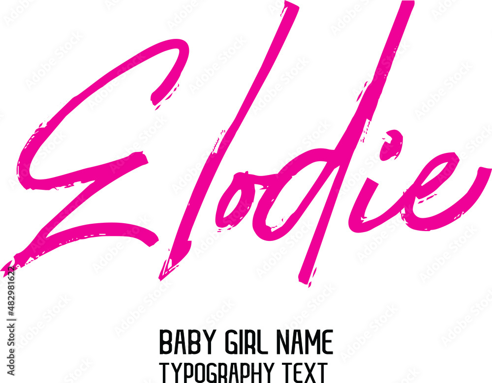 Elodie. Woman's Name in Pink Color Brush Calligraphy Text Elodie. Woman's Name in Pink Color Brush Calligraphy Text