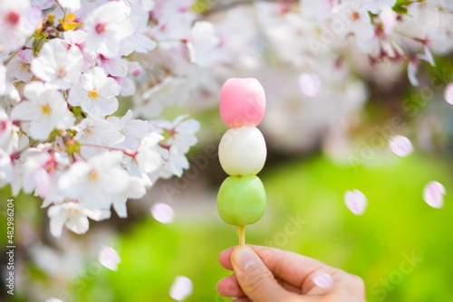 Canvastavla 桜とお花見団子