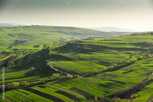 Agriculture fields in spring, aerial view in a sunny day. Agriculture and farming industry. © Dragoș Asaftei