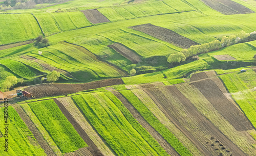 Agriculture fields in spring, aerial view in a sunny day. Agriculture and farming industry. © Dragoș Asaftei