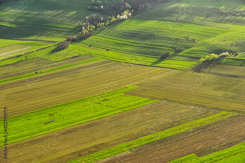 Agriculture fields in spring, aerial view in a sunny day. Agriculture and farming industry.