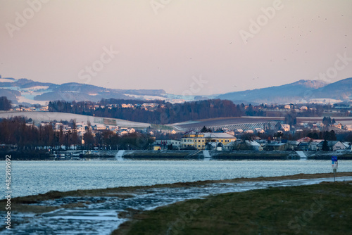 danube river with a view to the village of au an der donau, upper austria