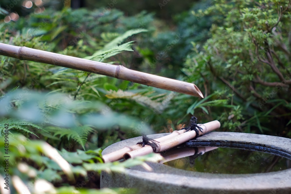 Naklejka premium water sprinkler in the garden