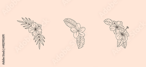Tropical Borders with Hibiscus and Frangipani Flowers. Vector Frame in Minimal Linear Style. Floral Corners