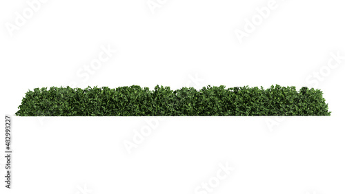 3D Green grass and bushes isolated on white background