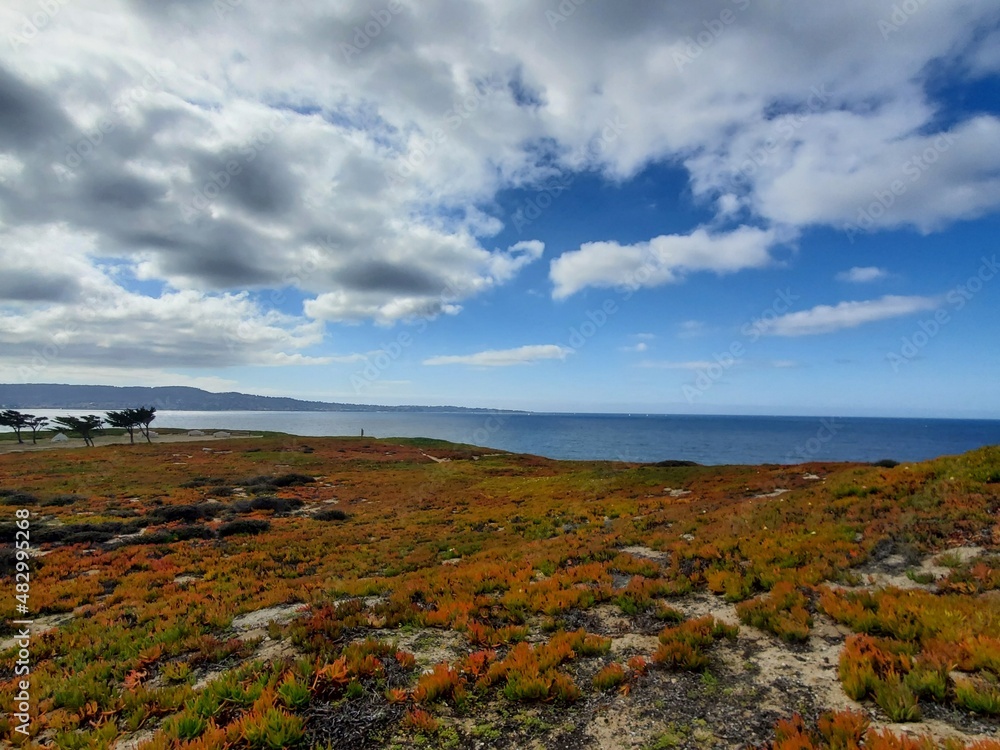 Monterey ,CA