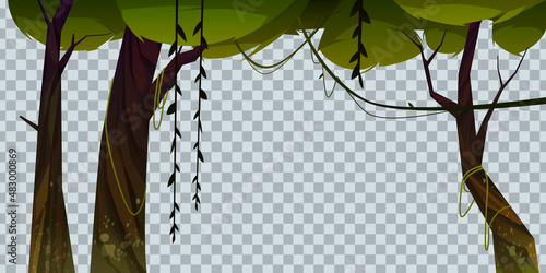 Jungle with trees and lianas isolated on transparent background. Vector cartoon illustration of forest plants with green foliage, leaves, vines and moss on trunks