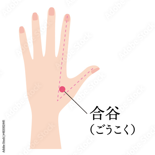 手のツボ　合谷