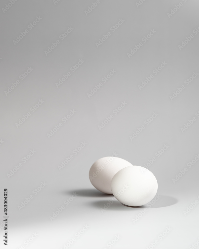 white egg on a white background white egg on a white background