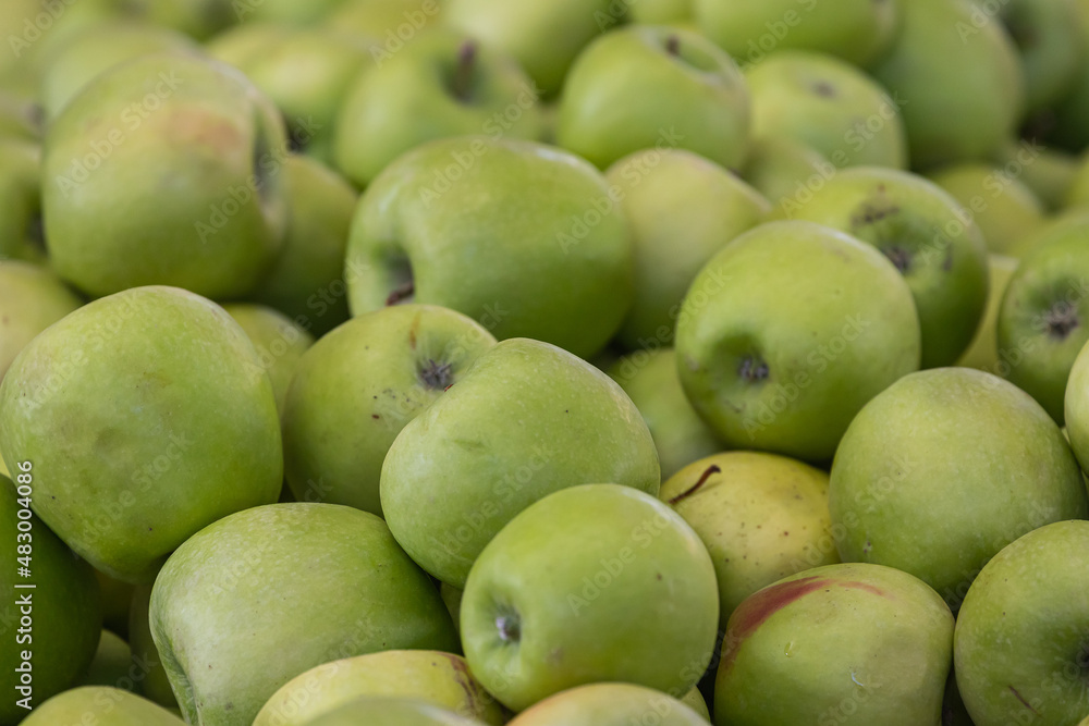 Green apples background. Fresh apples variety grown in the shop. Apple suitable for juice, strudel, apple puree, compote