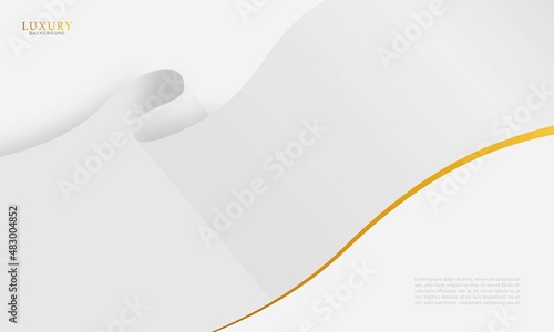 Luxury abstract Banner background vector. Abstract white and gray dynamic waves background with gold line curve luxury style.