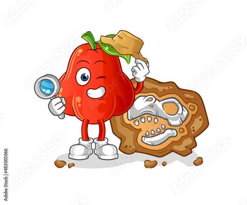 water apple archaeologists with fossils mascot. cartoon vector