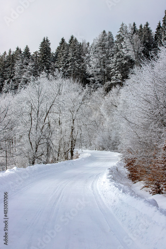 a beautiful landscape on the road through the forest in winter © sebi_2569