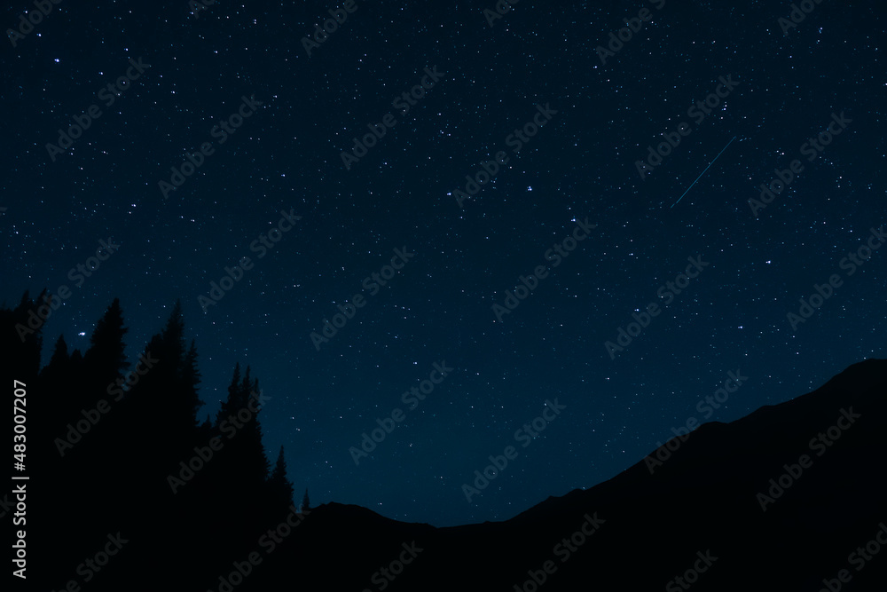 Blue night sky with many stars and trees silhouettes background.