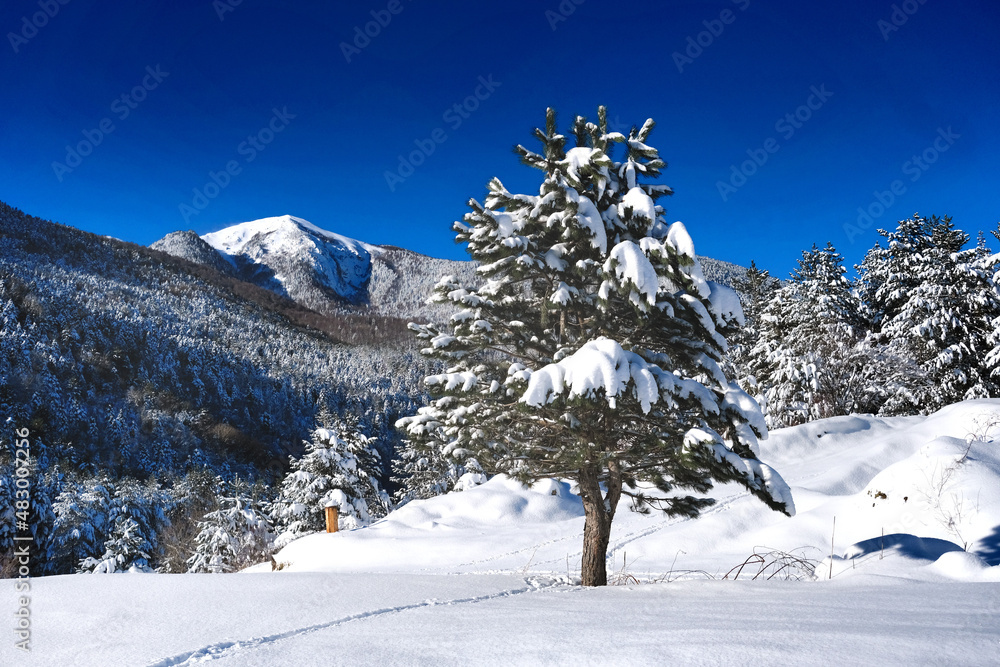 Fototapeta premium ski resort