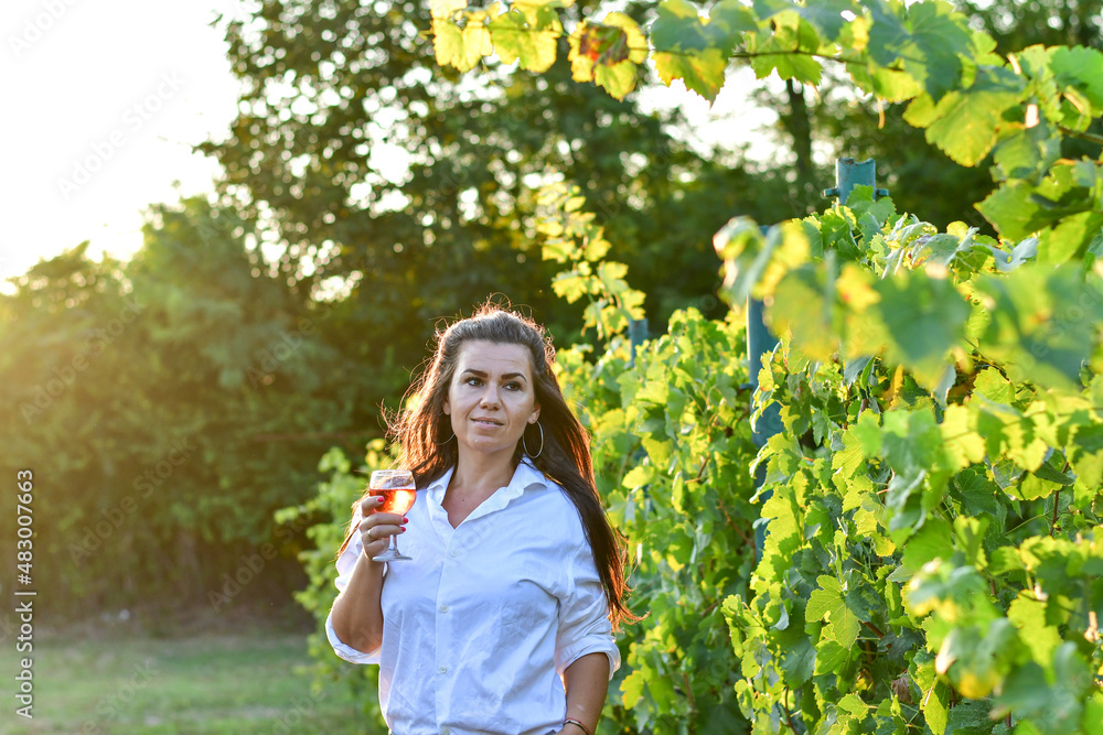 Young beautiful smiling woman sitting with a cat in a Vineyard with a glass of rose wine. Woman playing with cat during the summer vacation Young beautiful smiling woman sitting with a cat in a Vineyard with a glass of rose wine. Woman playing with cat during the summer vacation