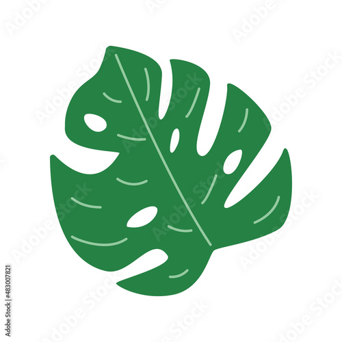 Monstera leaf, tropical jungle plant. Vector illustration in a flat style.
