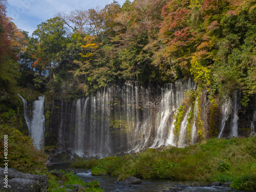Fototapeta Naklejka Na Ścianę i Meble -  【滝と紅葉】富士山麓にある白糸の滝