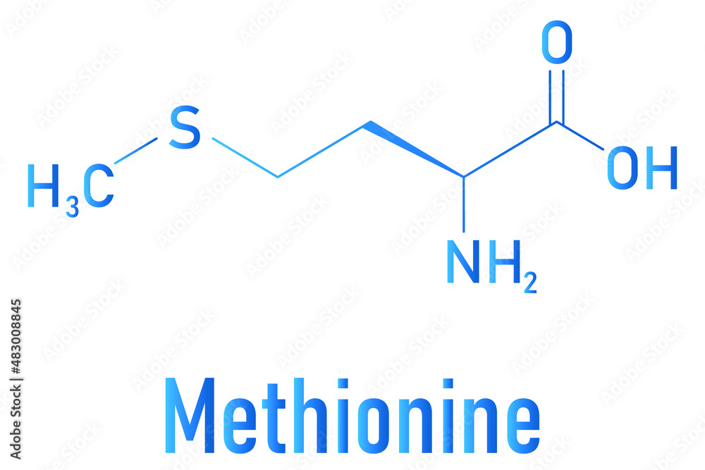 Methionine or l-methionine, Met, M amino acid molecule. Skeletal formula. Methionine or l-methionine, Met, M amino acid molecule. Skeletal formula.