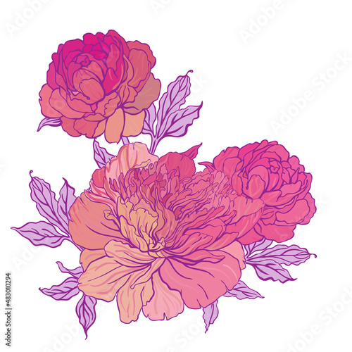 Beautiful peony bouquet design on beige background. Hand drawn vector illustr...