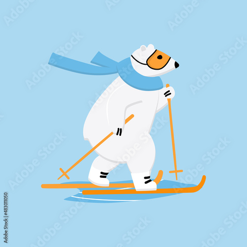 Polar bear cross-country skiing. Ski race outside winter sport concept.