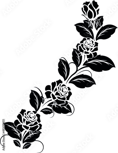 Fototapeta Naklejka Na Ścianę i Meble -  Silhouette rose branch with opened flowers and buds, hand drawn vector