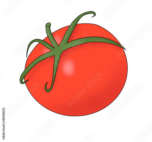 red tomato on white background