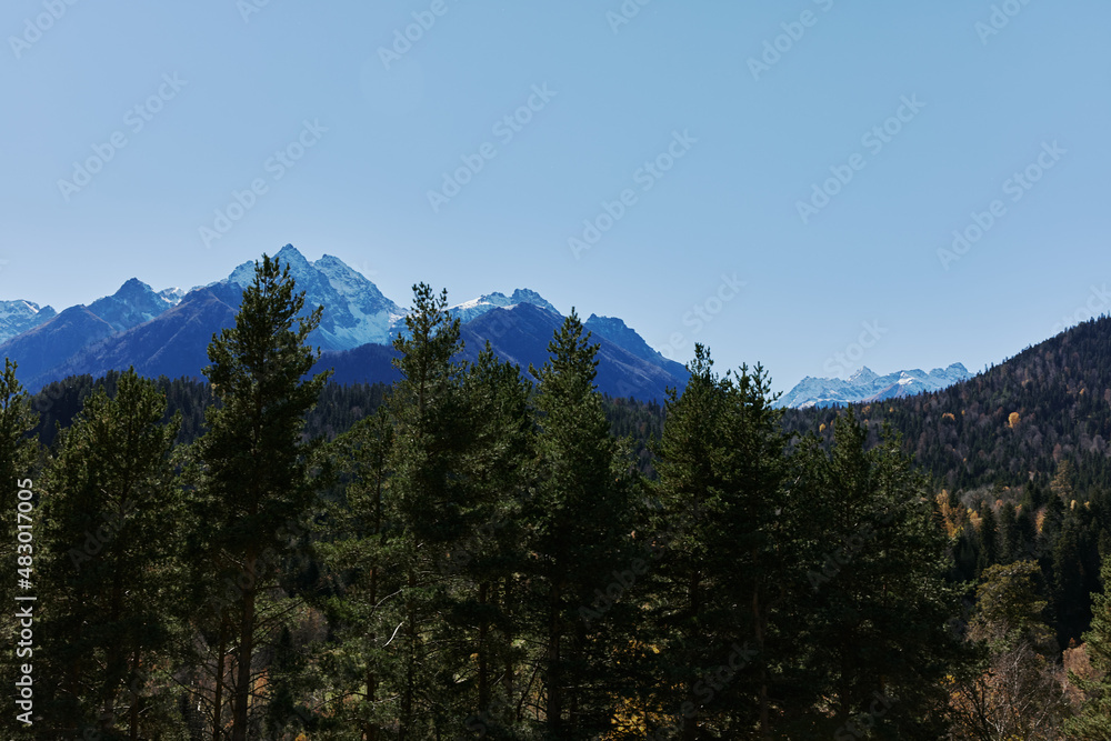 mountain forest blue sky sunny day nature landscape Adventures