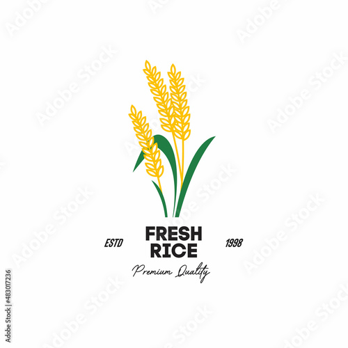 ILLUSTRATION VECTOR GRAPHIC OF fresh premium organic rice from organic rice field asian culture
GOOD FOR rice seed vintage logo on farmer retail shop market grocery