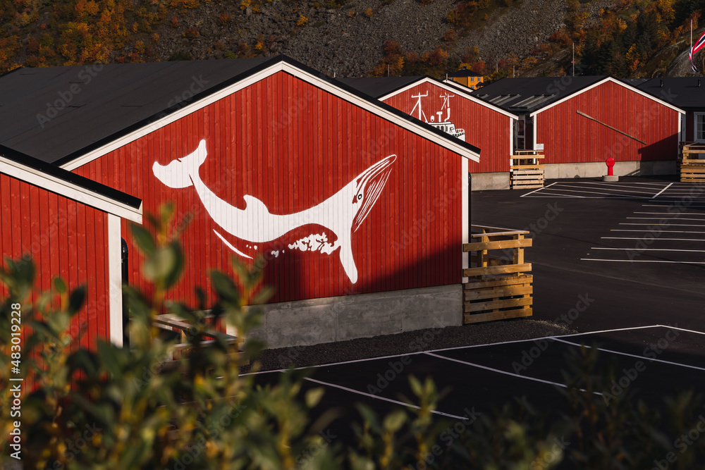 Typical norwegian village with red houses