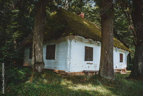 drewniany dom w lesie © Piotr Szpakowski