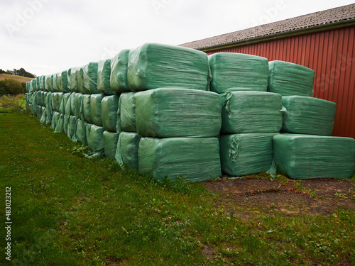 A group of green bales with hay fermenting