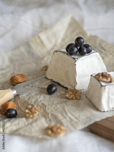 Various types of cheese with white mold on packaging paper. Home production, natural products.