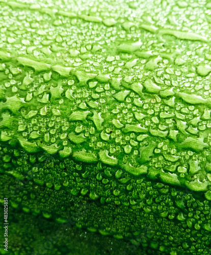 amazing view of dew on grass close up in the morning